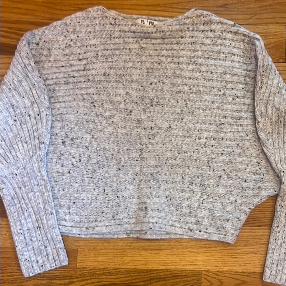 Women’s Gray /Beige Speckled Cropped Sweater